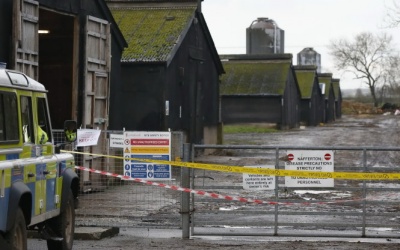 EU thực hiện các biện pháp khẩn cấp ngăn chặn cúm gia cầm